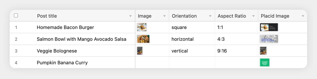 Airtable image automation tutorial result
