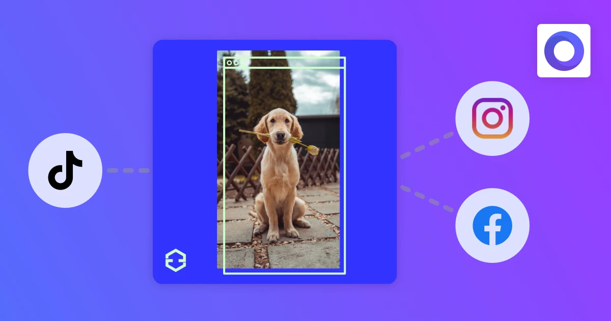 Image for Article How to repurpose TikToks for Facebook & Instagram with branded templates