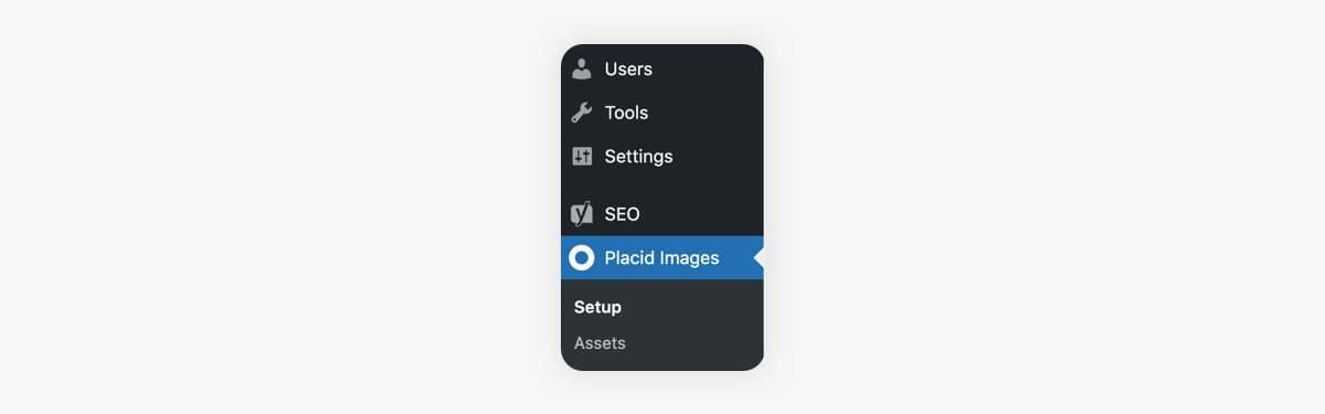 Placid WP Plugin settings
